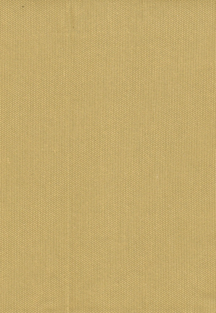 Lona Liso C/21